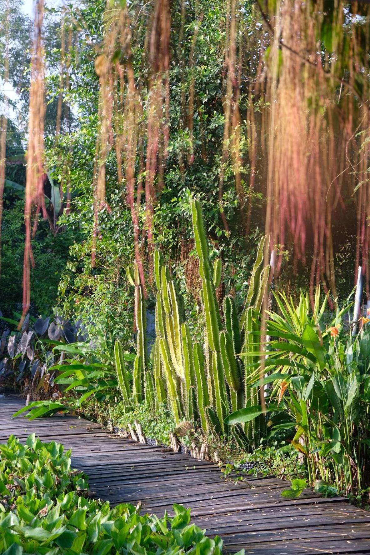 Bungalow - Farmstay Hoa Rung U Minh Cà Mau Eksteriør bilde