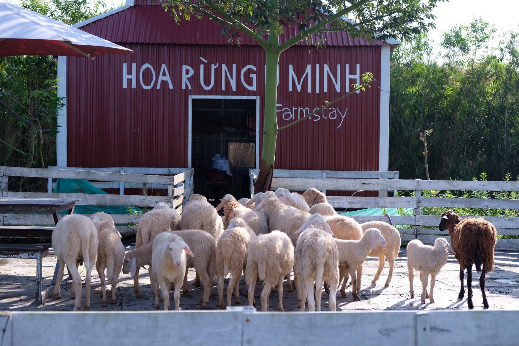 Bungalow - Farmstay Hoa Rung U Minh Cà Mau Eksteriør bilde