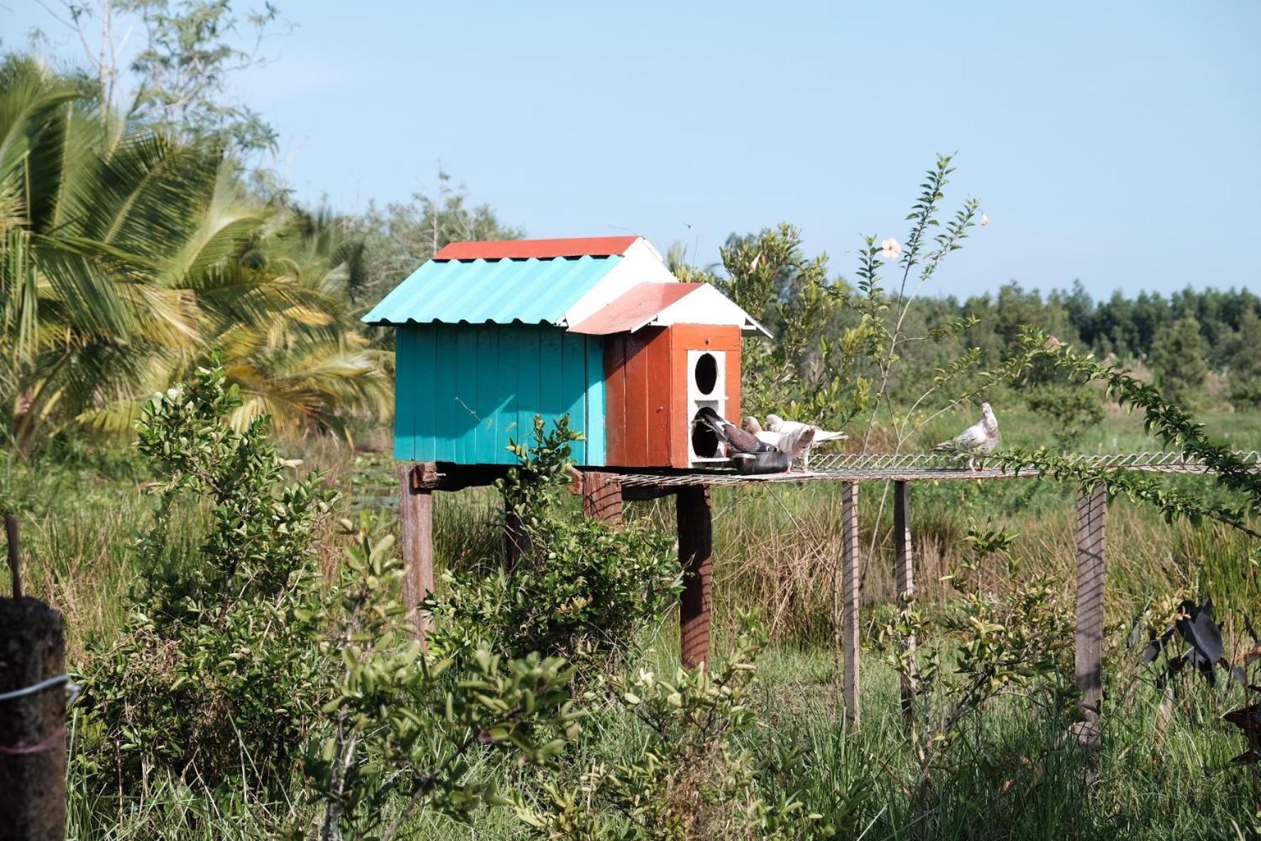 Bungalow - Farmstay Hoa Rung U Minh Cà Mau Eksteriør bilde